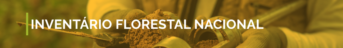 Banner amarelado com fundo fotográfico e o texto “Inventário Florestal Nacional” em branco.