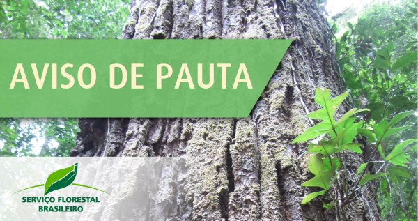 Capa_AVISO DE PAUTA Ministra Izabella Teixeira assina contratos de concessao para a Flona de Altamira - PA.jpg