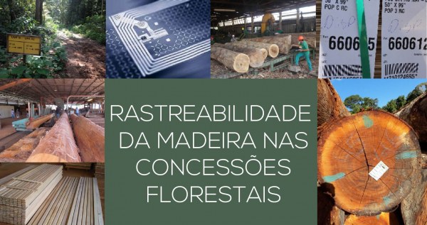 Capa_Consumidor tera acesso a informacoes sobre a origem da madeira de concessoes florestais.jpg