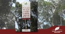 Capa_Mais de dois milhoes de hectares de florestas federais poderao ser concedidos em 2015.jpg