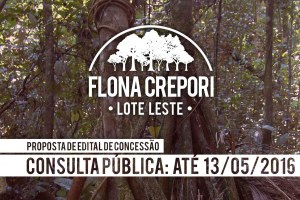 Capa_Aberta consulta publica para concessao na Flona do Crepori-PA.jpg