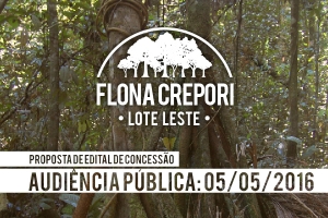 Capa_Aviso de Pauta Audiencia publica sobre concessao na Flona do Crepori.jpg