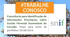 Capa_Contratacao de consultoria para Identificacao de Informacoes Prioritarias sobre Gestao Florestal Sustentavel do Cerrado.jpg