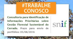 Capa_Contratacao de consultoria para Identificacao de Informacoes Prioritarias sobre Gestao Florestal Sustentavel do Cerrado.jpg
