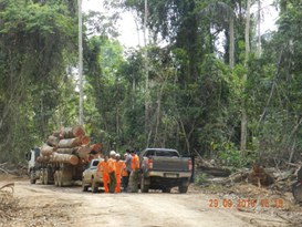Foto: Serviço Florestal Brasileiro.