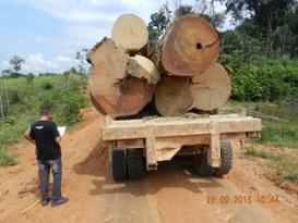 Foto: Serviço Florestal Brasileiro.
