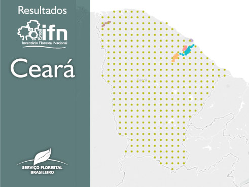 Capa_Levantamento revela amplo panorama das florestas no Ceara.jpg