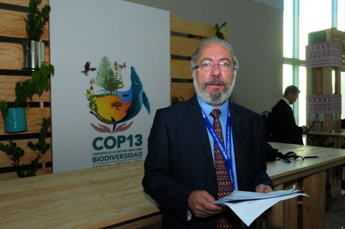 Capa_Pais combate exploracao ilegal de madeira.jpg