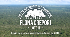 Capa_Serviço Florestal lanca edital de concessao da Flona do Crepori PA.jpg