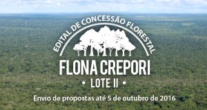 Capa_Serviço Florestal lanca edital de concessao da Flona do Crepori PA.jpg