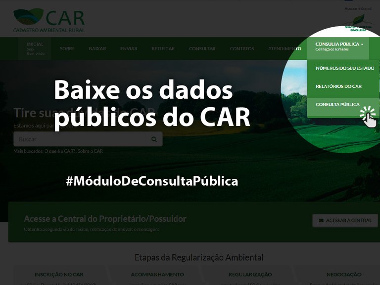 Capa_Servico Florestal libera dados publicos do CAR.jpg