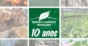 Capa_SFB faz 10 anos e se consolida como referencia florestal.jpg