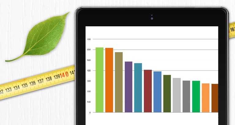 Capa_Abertas inscricoes para concurso de monografias sobre economia e mercado florestal.jpg