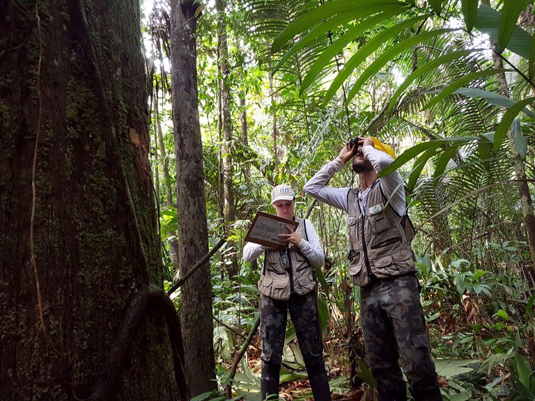 Capa_Casas de Carbono serao construidas para estimar estoque de carbono nas florestas brasileiras.jpg