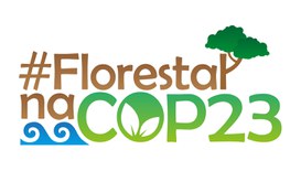 Imagem: Serviço Florestal Brasileiro.