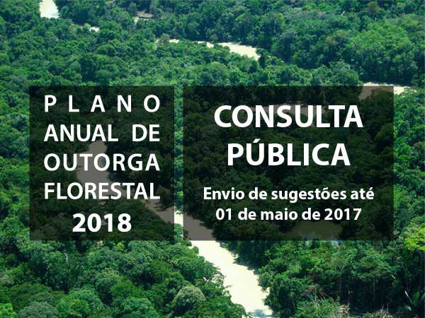 Capa_Consulta Publica - PAOF 2018.jpg