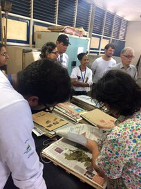 O Herbário IPA será responsável por receber e identificar todas as amostras botânicas coletadas em Pernambuco (Foto: Carla Mazzonetto)