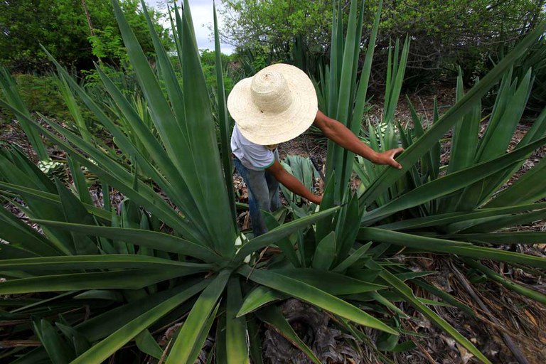 Capa_Inscricoes para o Premio SFB terminam dia 15.jpg