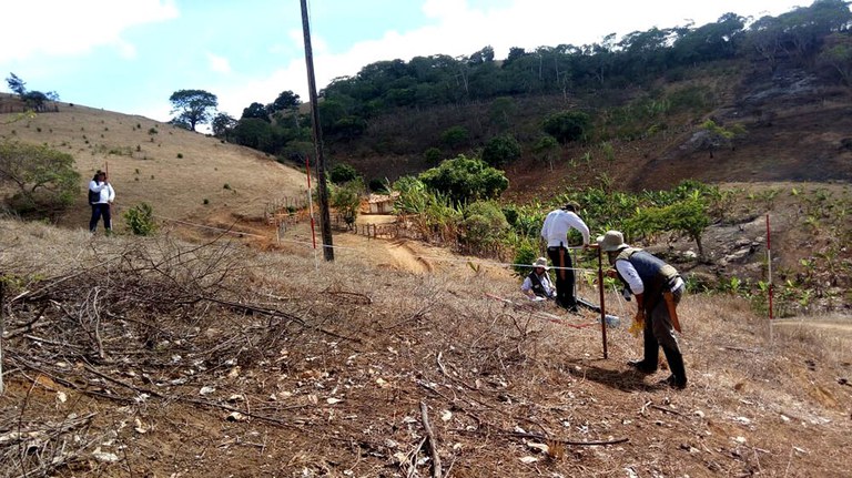 Capa_Inventario Florestal em Pernambuco esta avancado.jpg