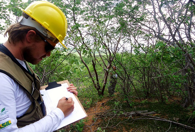 Capa_Inventario Florestal sera apresentado em simposio sobre a Caatinga.jpg
