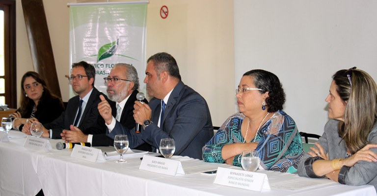 Capa_MMA estuda implantacao de instituicao florestal.jpg