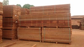 Foto: Serviço Florestal Brasileiro.