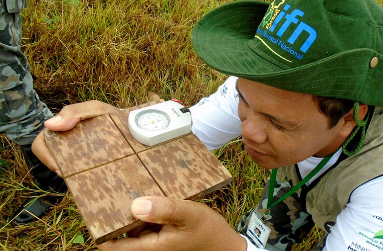Capa_Amazonia Inventario Florestal realiza levantamento em Tocantins.jpg
