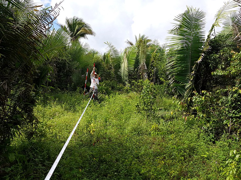 Capa_Amazonia Inventario Florestal realiza levantamento no Maranhao.jpg