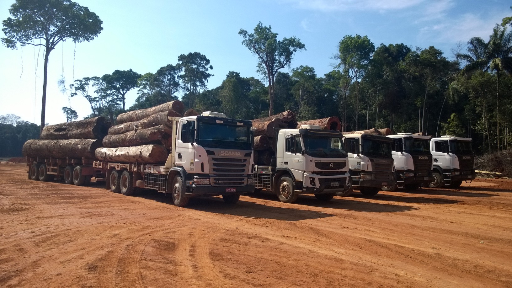 Capa_Auditorias florestais independentes trazem transparencia as concessoes de florestas publicas.jpg