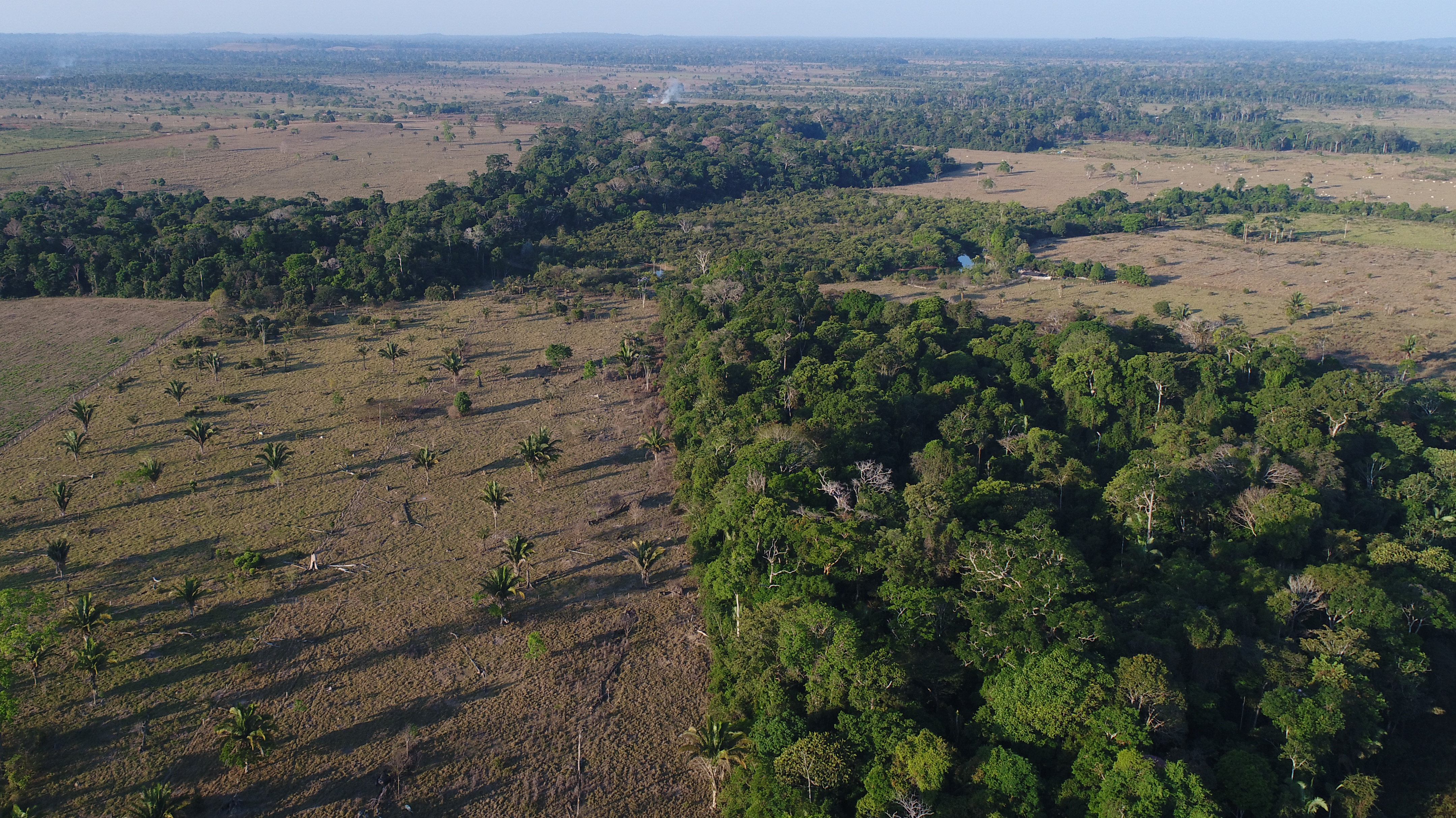 Capa_Cadastro Ambiental sera obrigatorio a partir de 01-01-2019.jpg