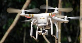 Foto: Serviço Florestal Brasileiro.