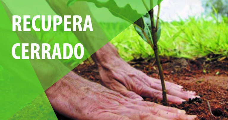 Capa_Edital seleciona projetos para recuperar areas degradadas nas bacias do Descoberto e Sao Bartolomeu-DF.jpg