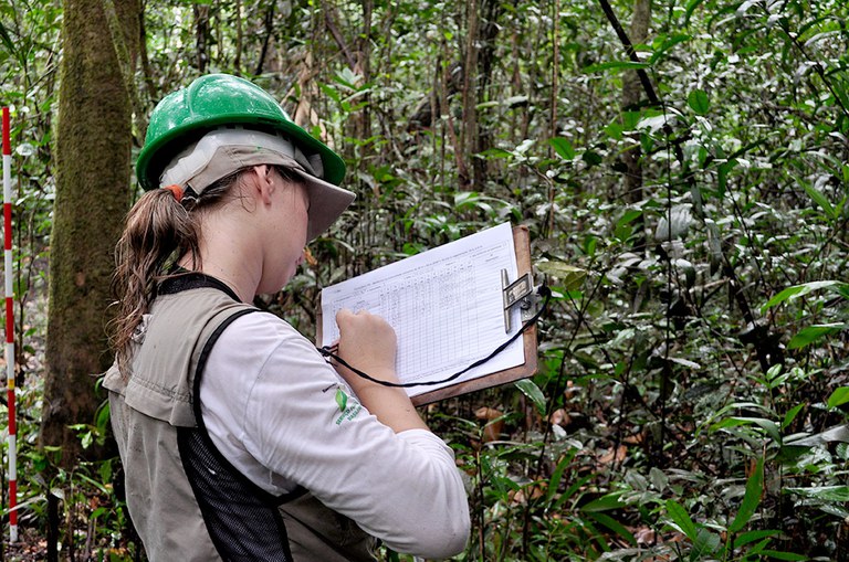 Capa_Evento reune especialistas sobre inventarios florestais nacionais na Costa Rica.jpg