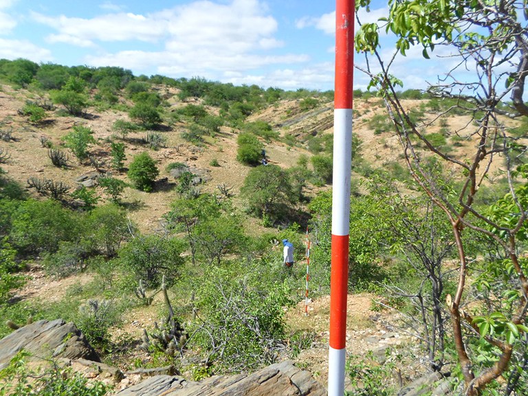 Capa_IFN Rio Grande do Norte possui quase metade de seu territorio coberto por florestas.jpg