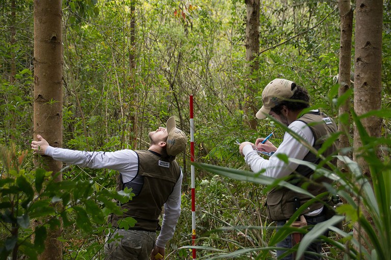 Capa_Inventario Florestal – Resultados preliminares do Parana e Rio Grande do Sul serao apresentados.jpg