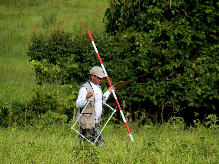 Capa_Inventario Florestal avanca na Amazonia.jpg