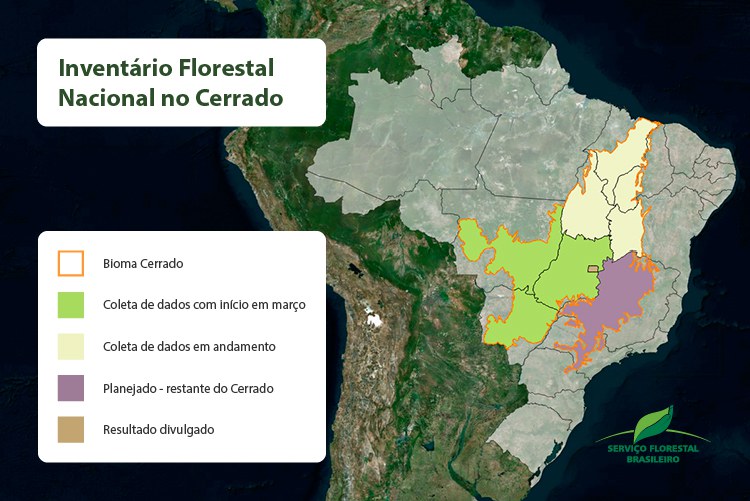 Capa_Inventario Florestal chega a quase 80% do Cerrado.jpg