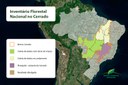 Capa_Inventario Florestal chega a quase 80% do Cerrado.jpg