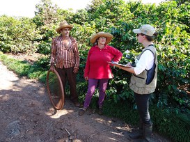 Foto: Serviço Florestal Brasileiro.