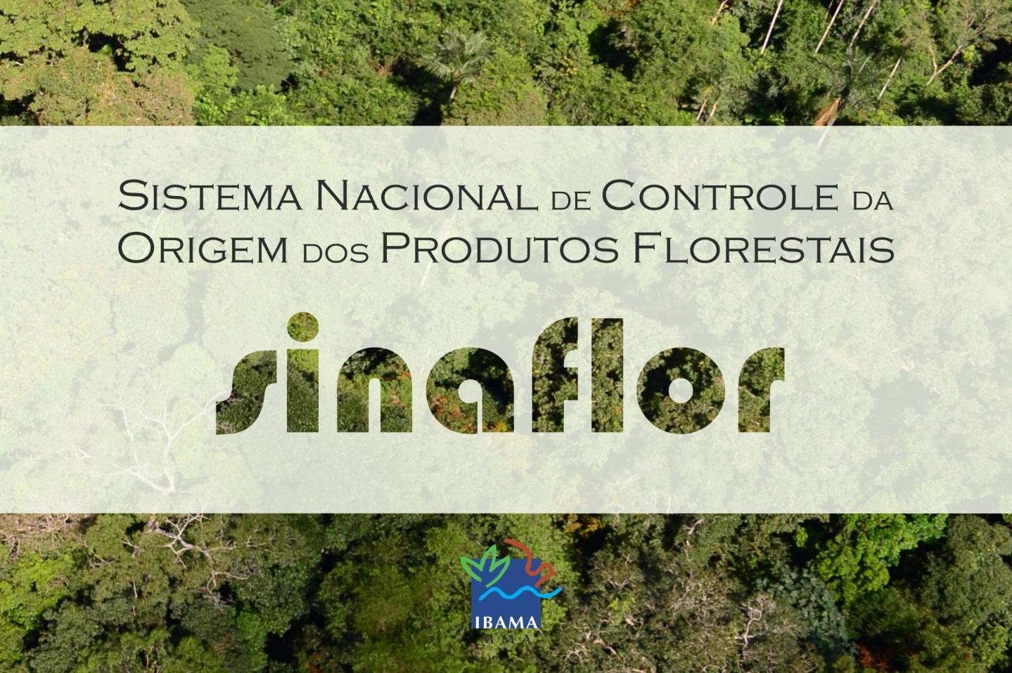 Capa_Planos de Manejo das concessoes florestais sao incluidos no Sinaflor.jpg