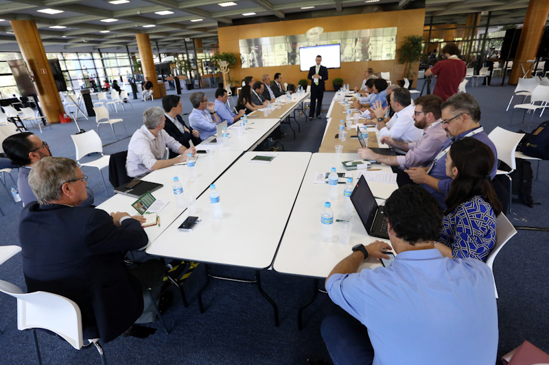 Capa_Camara Setorial de Florestas Plantadas se reune no Congresso Mundial da Iufro 2019.jpg