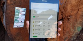 Foto: Serviço Florestal Brasileiro.