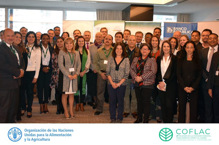 Capa_Dirigentes da America Latina e Caribe debatem diretrizes para políticas florestais e desenvolvimento sustentavel.jpeg