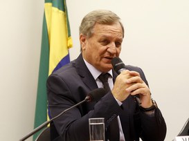 Foto: Serviço Florestal Brasileiro.