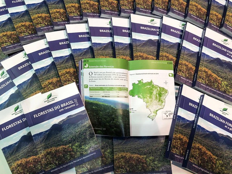 Capa_Lancada a quarta edicao do livro Florestas do Brasil em Resumo.jpeg