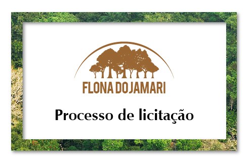Capa_Quatro empresas concorrem a concessao de area para manejo na Flona do Jamari-RO.jpg