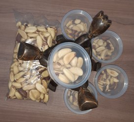 Foto: Serviço Florestal Brasileiro.