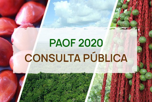 Capa_SFB abre consulta sobre areas que poderao ser concedidas.jpg