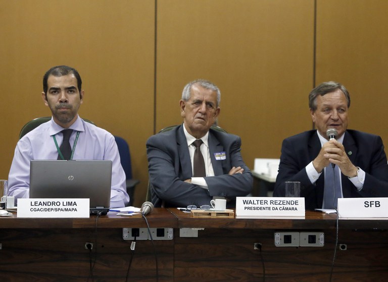 Capa_Serviço Florestal apresenta a proposta de análise dinamizada do CAR em reunião da Câmara Setorial de Florestas Plantadas.jpg