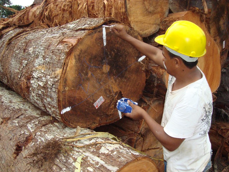 Capa_SFB anuncia resultado da licitacao de Jamari - Lote 2.jpg